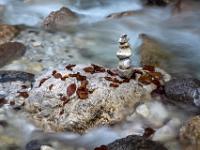 Steinmandl auf Fels mit nassem Herbstlaub